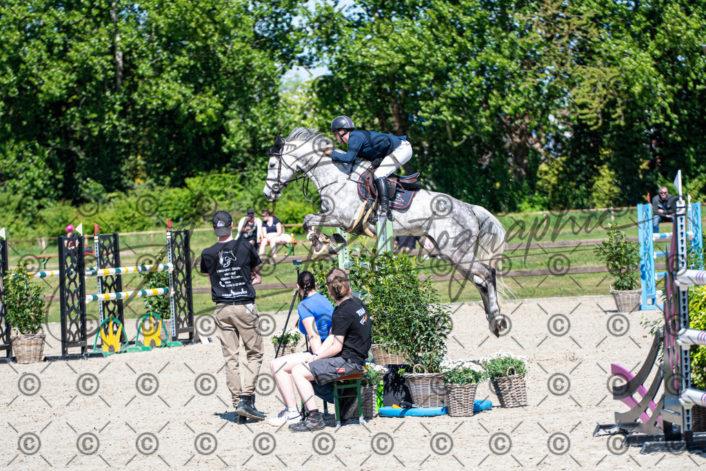 KPT_1163 | andre_photographic