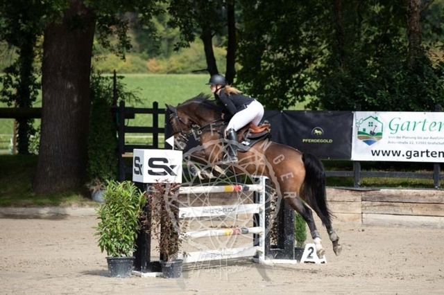 2B4A3571 | pixelfaenger - Realisiert mit Pictrs.com