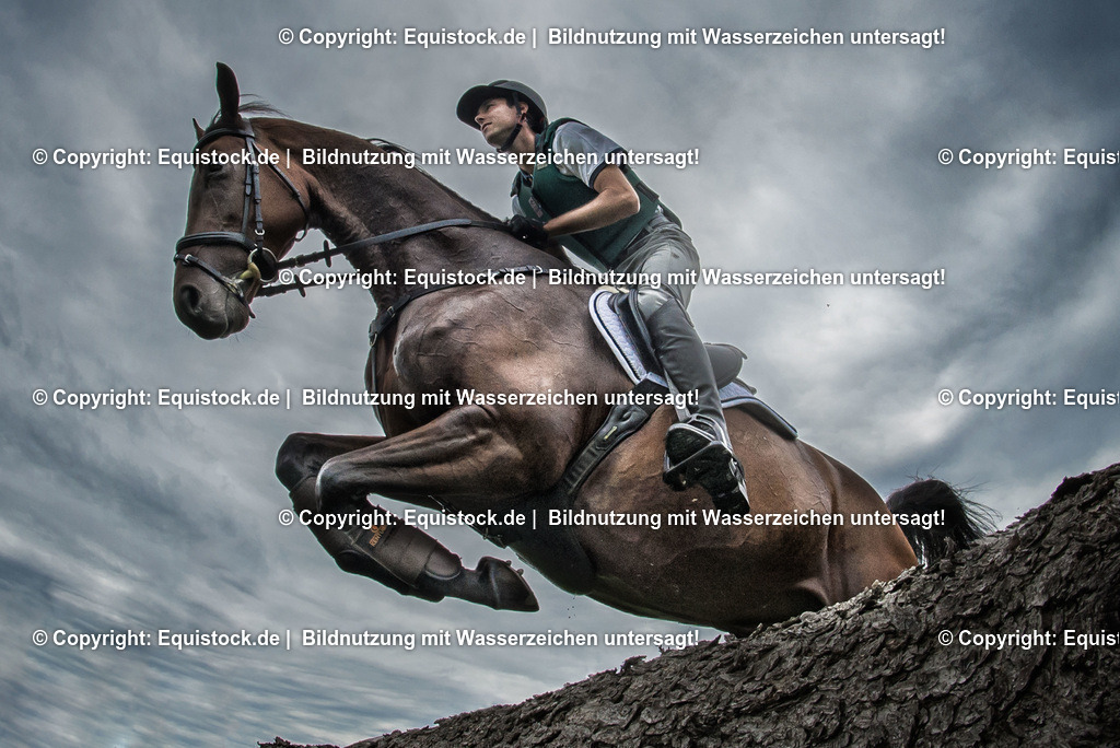 TS_20170809_Vielseitigkeit_Brauner_0001 | Foto: Thomas Hartig