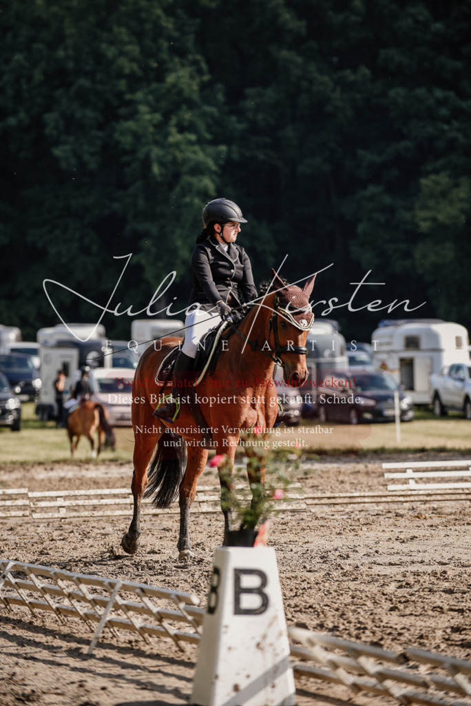 DSC_8517 | Pferde- und Turnierfotografie in Westsachsen. Pferdeportraits, Auftragszeichnungen und intuitive Kunst.