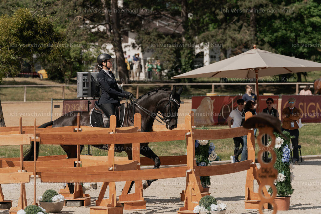 WE_ST_Stoib_316_PI2025_935 | Pferd International München 2025