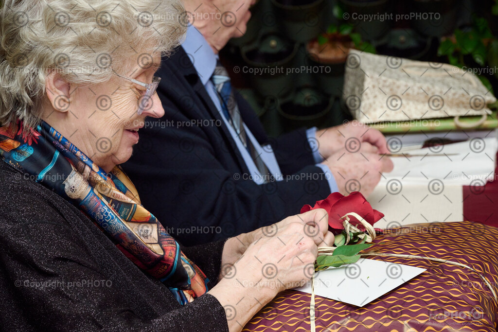 027_2026_60-Hochzeitstag-Wenzel_NZ9_6719 | proPHOTO - Realisiert mit Pictrs.com