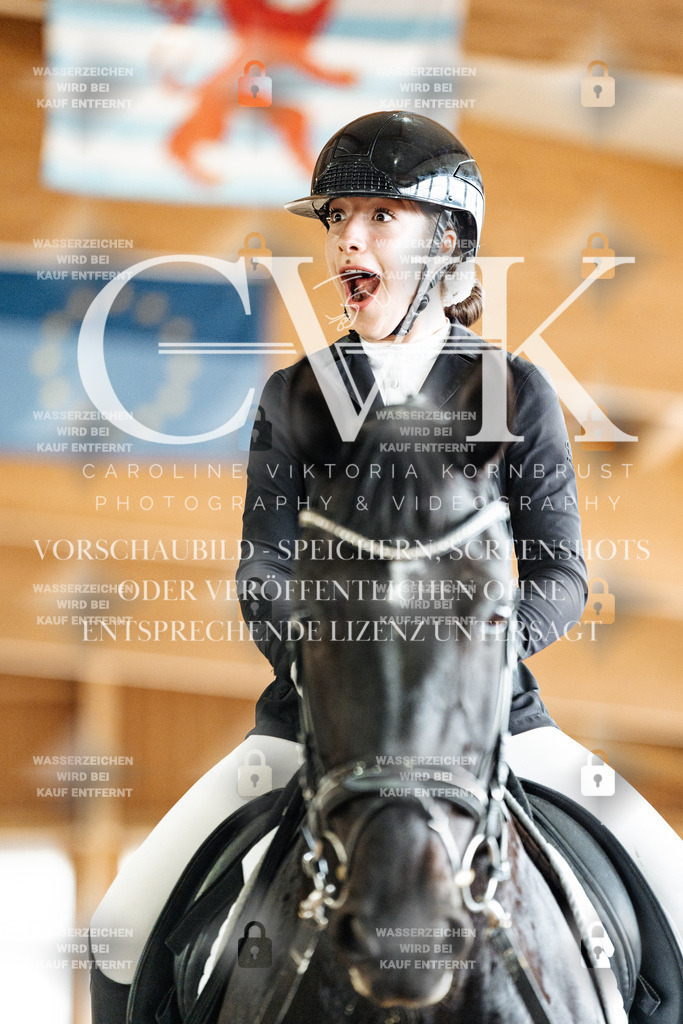 CK901123 | Turnierfotografie Pferdefotografie Trier Rheinland-Pfalz Pferdesport Reitsport Tierfotografie Sportfotografie Pferdevideo Pferdevideografie Equestrianvideography equestrianphotography  - Realisiert mit Pictrs.com