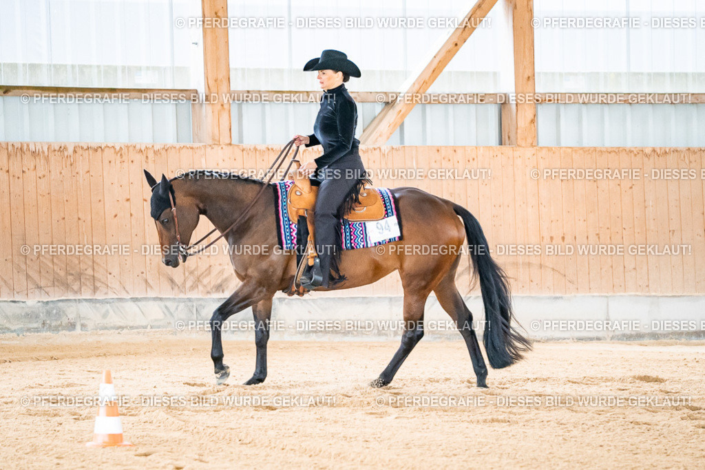 DSC01695 | Pferdegrafie