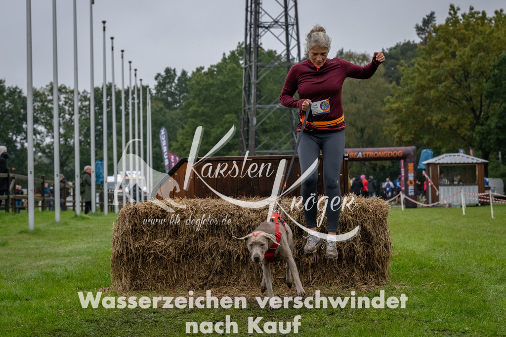 1118-94274 | kk-dogfotos