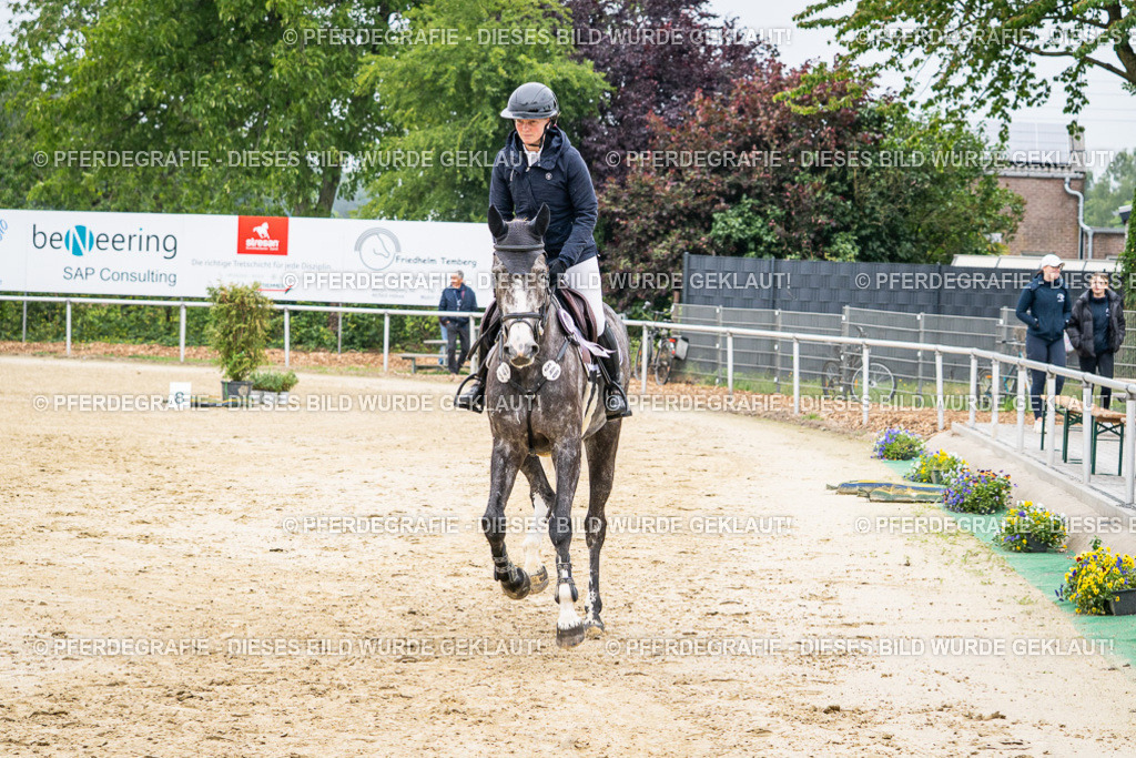 DSC01078 | Pferdegrafie