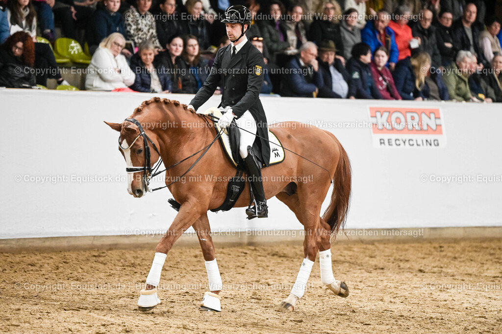 20260307_Hengstvorstellung-Marbach_0332 | equistock