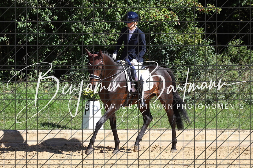 IMG_5577 | Benjamin Bartmann Photomoments