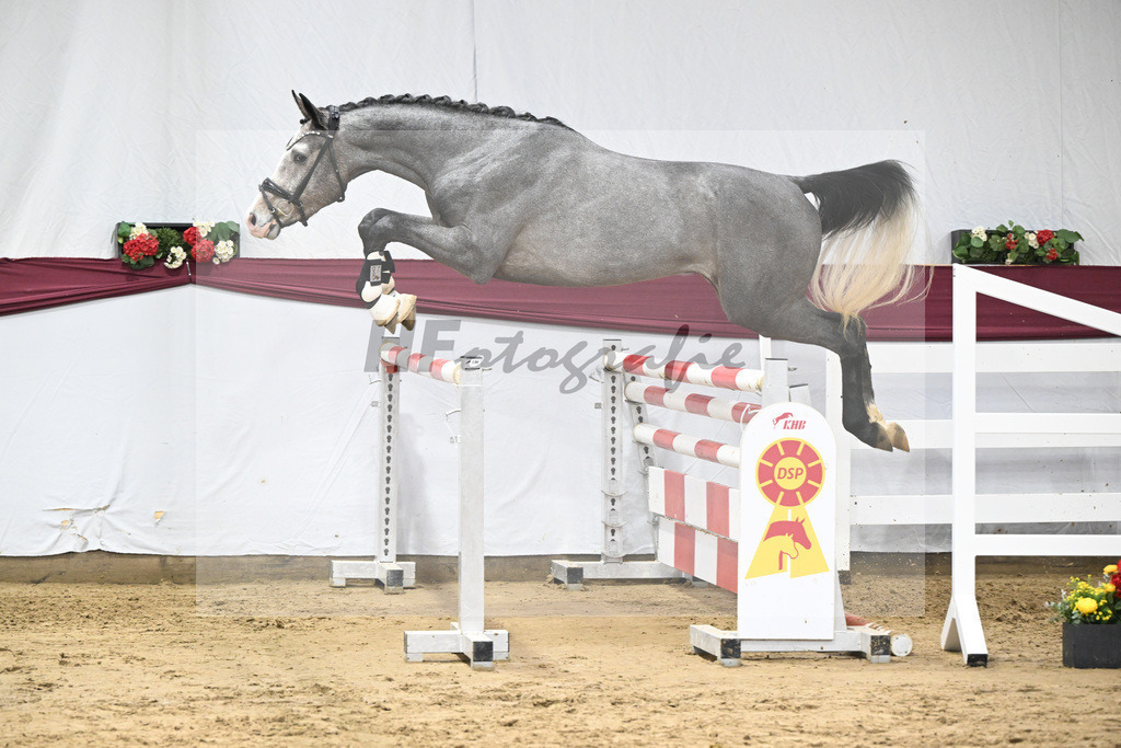 Kat-Nr. 83 Hickstead White x Chacco-Blue_Thomas Koeniger_47252827 | hf-fotografie - Realisiert mit Pictrs.com