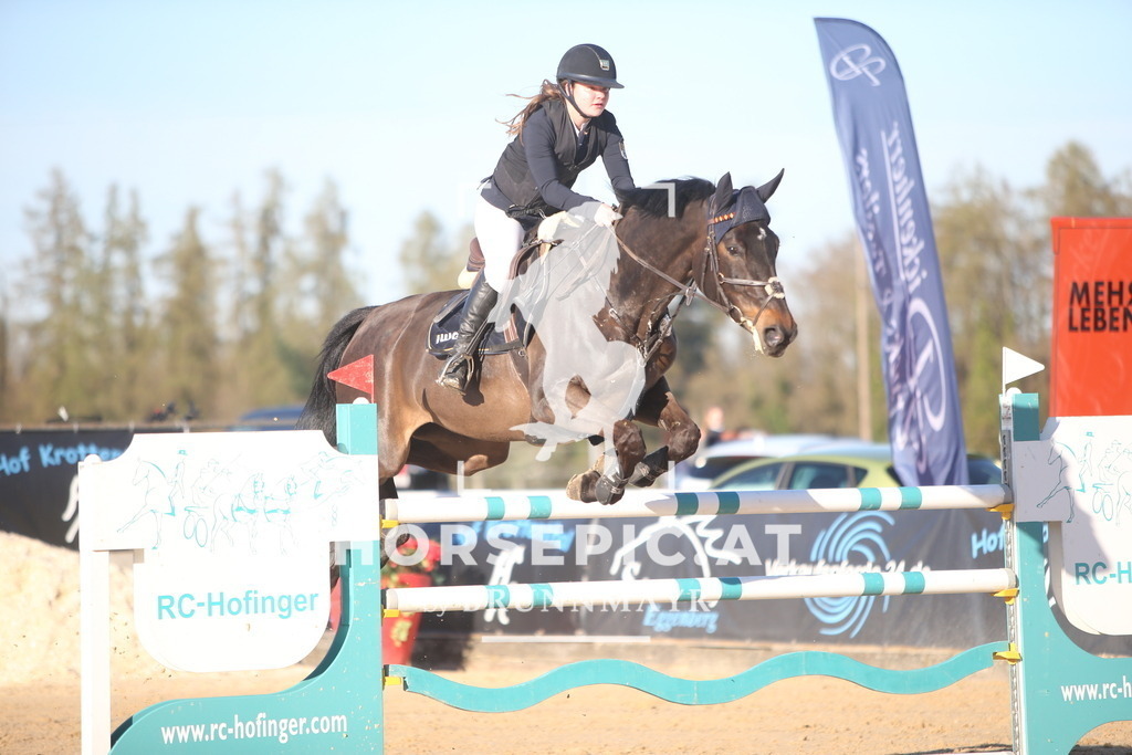 PP016023 | Willkommen bei Brunnmayr - Design & Fotografie – Ihrem Spezialisten für Reitturniere und Pferdeveranstaltungen in Oberösterreich, Salzburg und Bayern! Seit über 17 Jahren sind wir leidenschaftlich dabei.