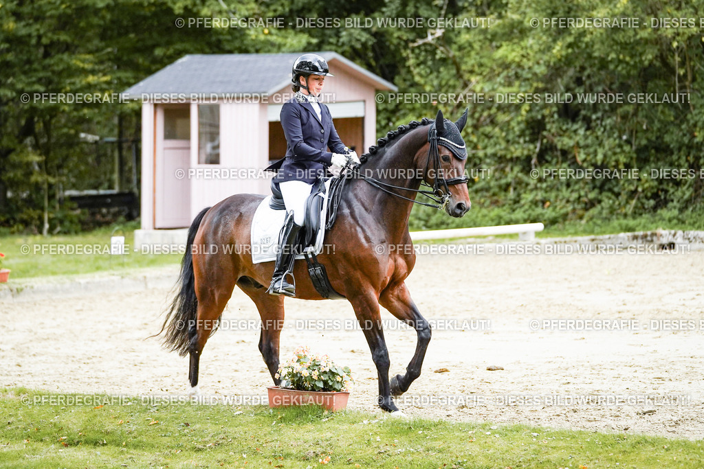 DSC06359 | Pferdegrafie