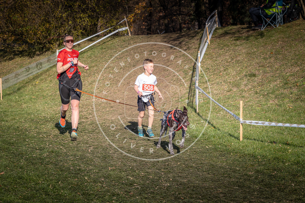 CaniXpix_0L8A8506 | Hundefotografie, Tierfotograf, Pfotenfotografie, Fotoshooting Hund, Hunde Portrait, Hundesport, Hundeportraits, Heideshooting, Hunde, Sportfotograf, Hundefotograf, Turnierhundsport, THS,  - Realisiert mit Pictrs.com