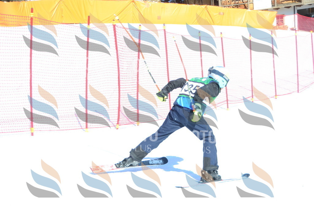 C6002 | holidayphoto