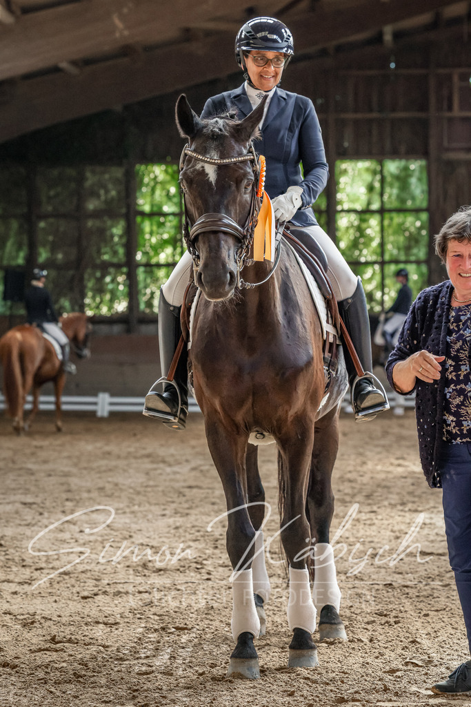 20250621-_3LI0171 | Tierfotografie Pferde, Hunde, Katzen, Haustiere.
Turnierfotografie Reitturniere, Reiten, Springreiten, Dressur in Hanau, dem Main-Kinzig-Kreis und dem Rhein-Main- Gebiet um Frankfurt