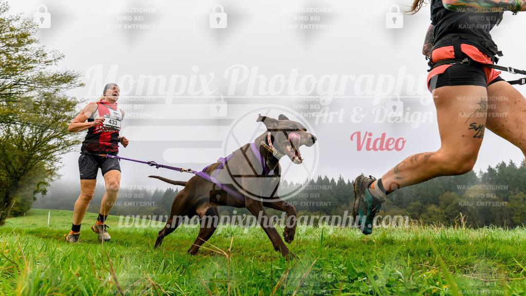 MompixPhotography_20TSB_E5_Run-88 | PayLife