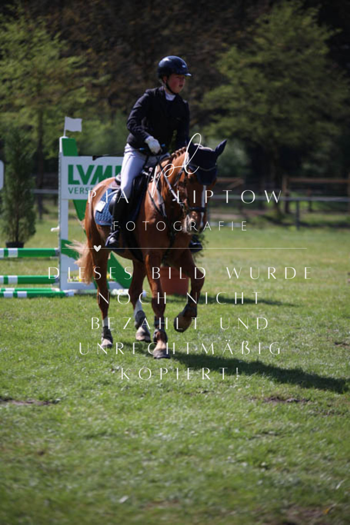 IMGT5655 | pl-fotografie