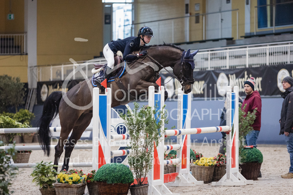 230210_Warstein_Stil-L-178 | Deine schönsten Turniermomente als professionelle Fotos! Entdecke hochwertige Pferdesport-Fotografie im Online-Shop. Jetzt Fotos finden & bestellen!