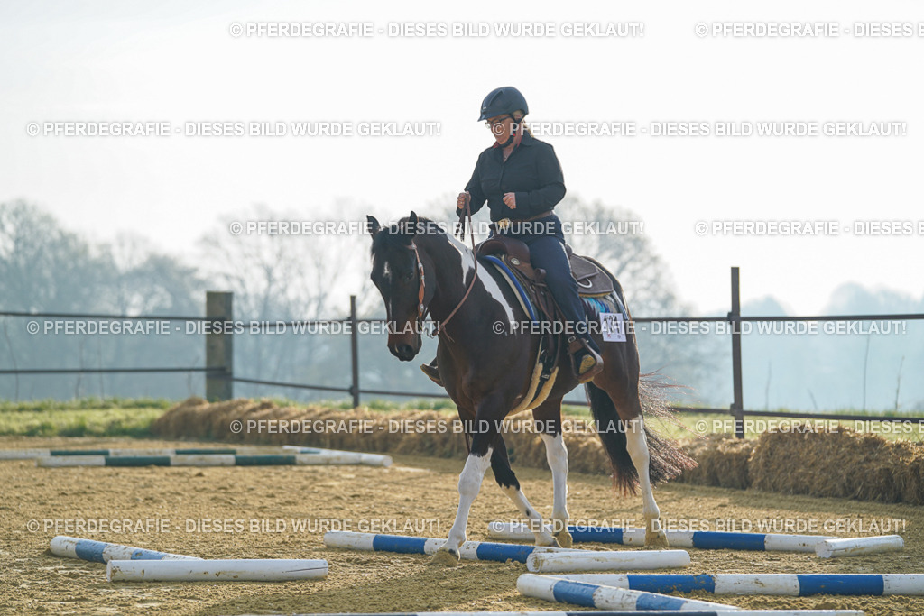 DSC09849 | Pferdegrafie