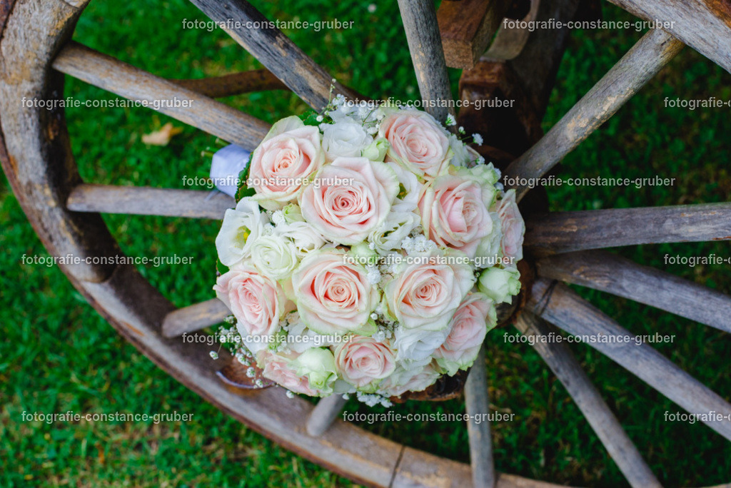 1014 | Fotografie Constance Gruber - Realisiert mit Pictrs.com