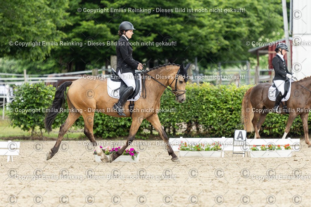 CL5A1101 | Emilia Reinking Fotografie - Realisiert mit Pictrs.com