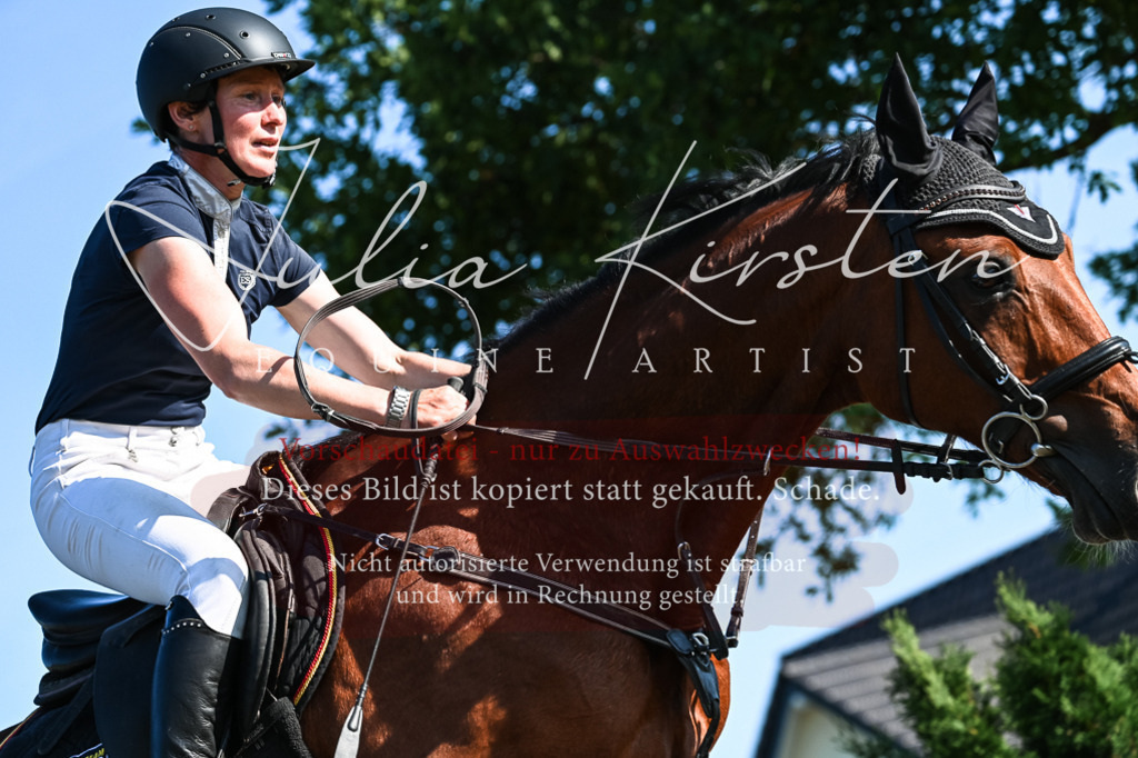 DSC_2712 | Pferde- und Turnierfotografie in Westsachsen. Pferdeportraits, Auftragszeichnungen und intuitive Kunst.