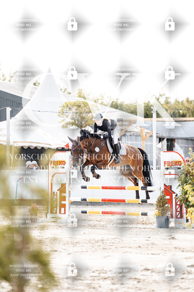 CK906759 | Turnierfotografie Pferdefotografie Trier Rheinland-Pfalz Pferdesport Reitsport Tierfotografie Sportfotografie Pferdevideo Pferdevideografie Equestrianvideography equestrianphotography  - Realisiert mit Pictrs.com