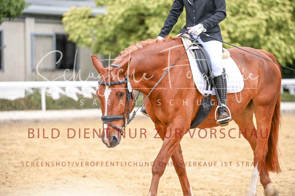 Schugtsche-Aluta25-43.EDressur -131 | Schugtsche Fotografie - Realisiert mit Pictrs.com