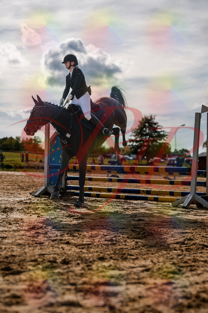 2026_10_03_Siefer-Hof_154118_Z63_08952261 | Professionelle Reitsport-, Turnier- und Eventfotografie von Robert Broda. Galerien mit ausgewählten und bearbeiteten Bildern direkt online ansehen und bestellen.