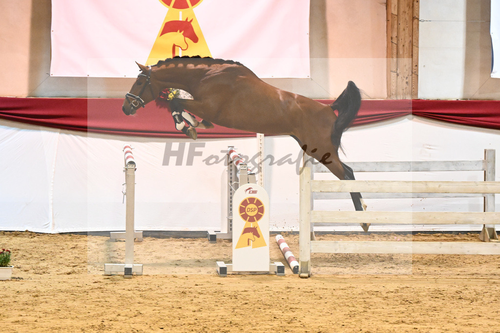 Kat-Nr. 64 Emerald v h Ruytershof x Ludwig von Bayern_Berger_43231227 | hf-fotografie - Realizzato con Pictrs.com