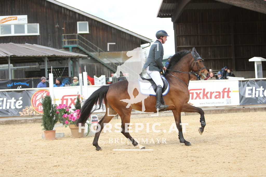 DL2Q9342 | Willkommen bei Brunnmayr - Design & Fotografie – Ihrem Spezialisten für Reitturniere und Pferdeveranstaltungen in Oberösterreich, Salzburg und Bayern! Seit über 17 Jahren sind wir leidenschaftlich dabei.