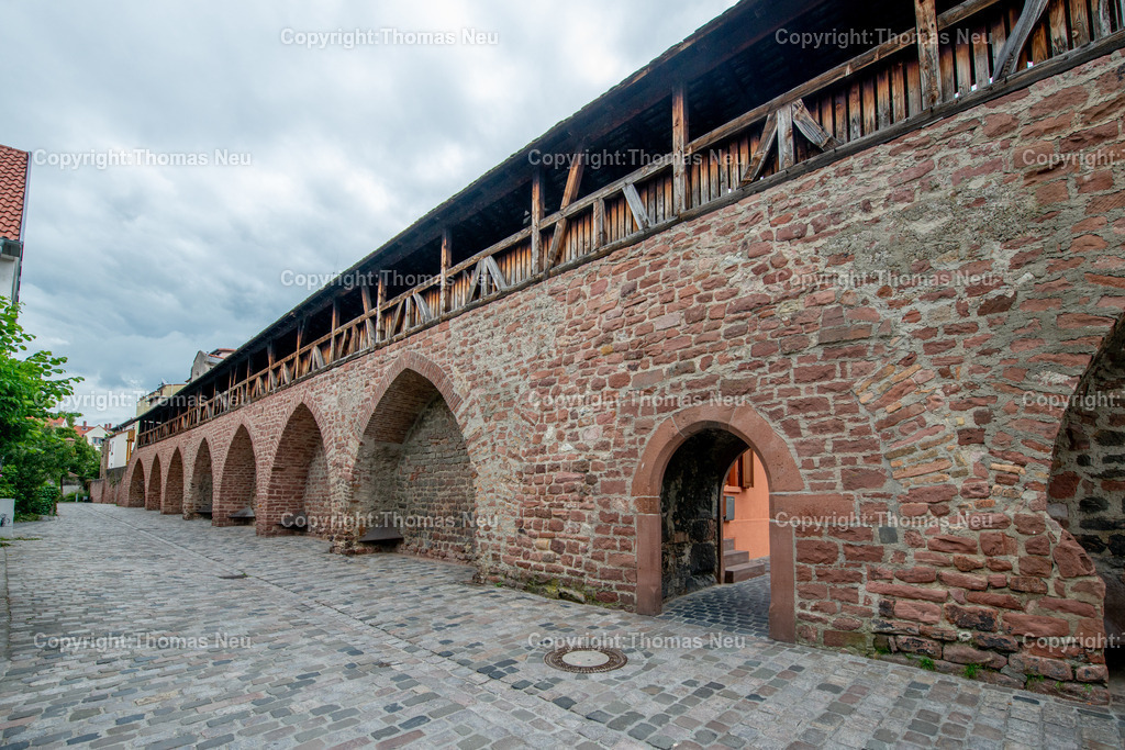 Worms-2025_DSC1445 | Worms, Stadtmauer an der Großen Affengasse, ,, Bild: Thomas Neu
