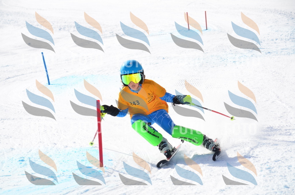 C8406 | holidayphoto