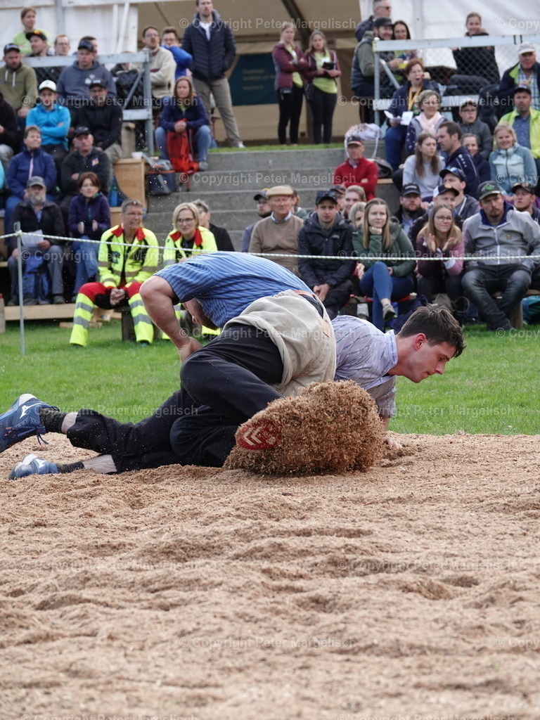 DSC07037 | Schwingen - Realisiert mit Pictrs.com