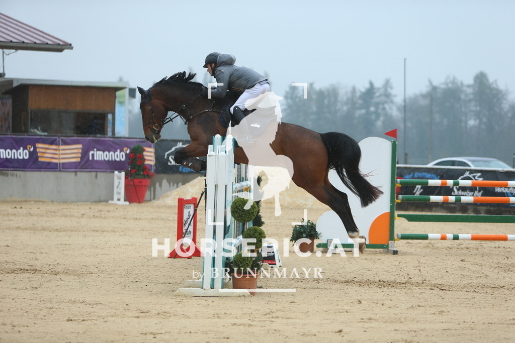 DL2Q8035 | Willkommen bei Brunnmayr - Design & Fotografie – Ihrem Spezialisten für Reitturniere und Pferdeveranstaltungen in Oberösterreich, Salzburg und Bayern! Seit über 17 Jahren sind wir leidenschaftlich dabei.