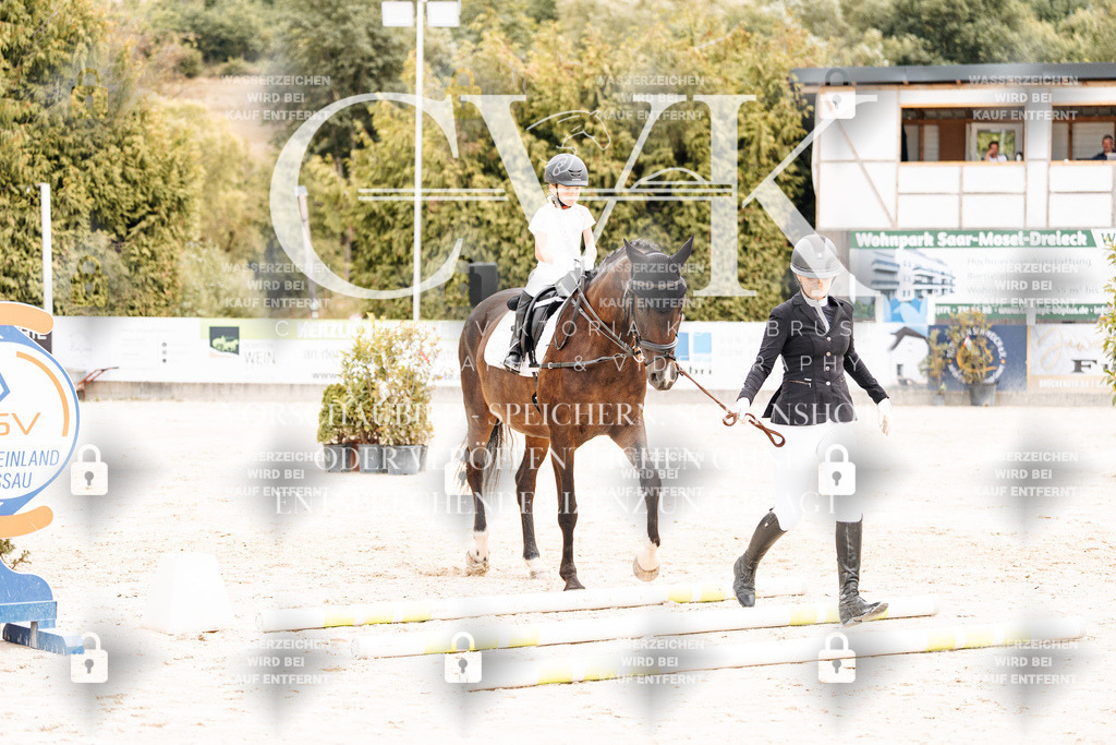 CK907097 | Turnierfotografie Pferdefotografie Trier Rheinland-Pfalz Pferdesport Reitsport Tierfotografie Sportfotografie Pferdevideo Pferdevideografie Equestrianvideography equestrianphotography  - Realisiert mit Pictrs.com