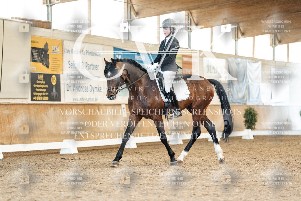 CK908611 | Turnierfotografie Pferdefotografie Trier Rheinland-Pfalz Pferdesport Reitsport Tierfotografie Sportfotografie Pferdevideo Pferdevideografie Equestrianvideography equestrianphotography  - Realisiert mit Pictrs.com