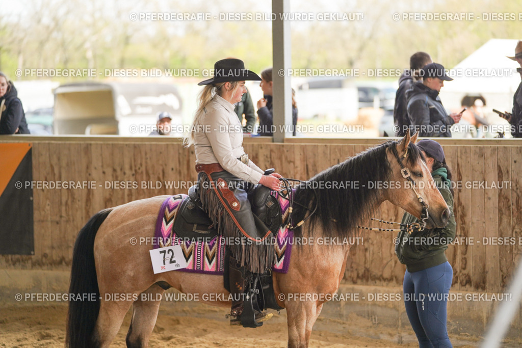 DSC05278 | Pferdegrafie