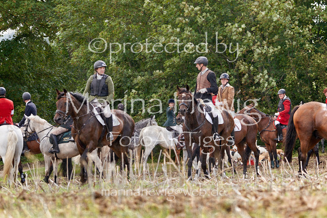 _MCH7926_Marina Hewig | Fotografie, FotoArt, PferdesportArt, Pferdesportfotografie, Landschaftsfotografie, Reisefotografie, Reise, Pferde - Realisiert mit Pictrs.com