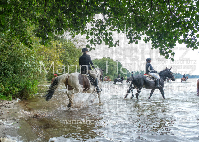 Jagd Perdoel_MarinaHewigDSCF3552 | Fotografie, FotoArt, PferdesportArt, Pferdesportfotografie, Landschaftsfotografie, Reisefotografie, Reise, Pferde - Realisiert mit Pictrs.com