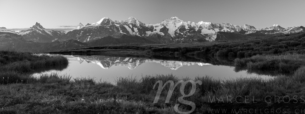 20220625-Niederhorn-0411 | Die ideale Geschenkidee für Naturliebhaber. Naturbilder von Marcel Gross Photography für ihr Zuhause in den verschiedensten Formaten und Materialien. - Realisiert mit Pictrs.com