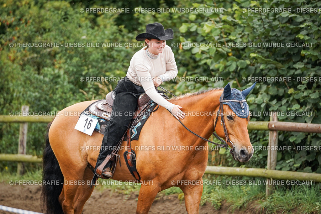 DSC04507 | Pferdegrafie