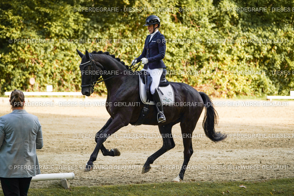 DSC04845 | Pferdegrafie