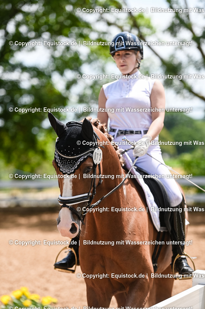 20230716_03_Dressurprfg. Kl.L - Tr._0512 | equistock