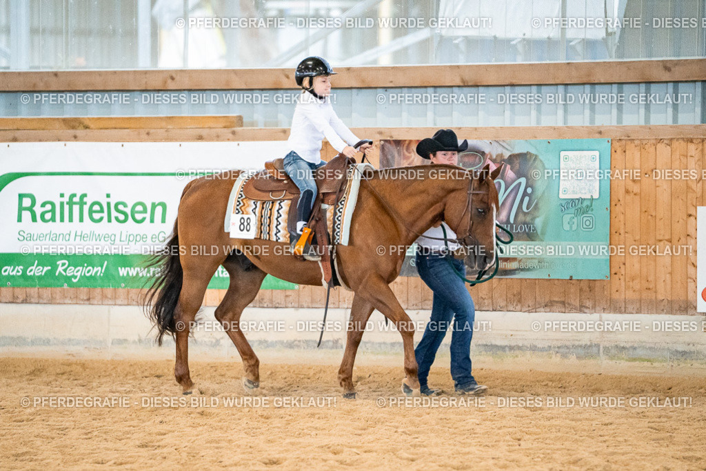 DSC00926 | Pferdegrafie