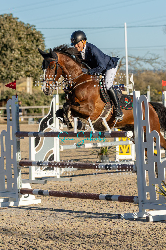 IMG_2365 | s-jay-photography - Realisiert mit Pictrs.com