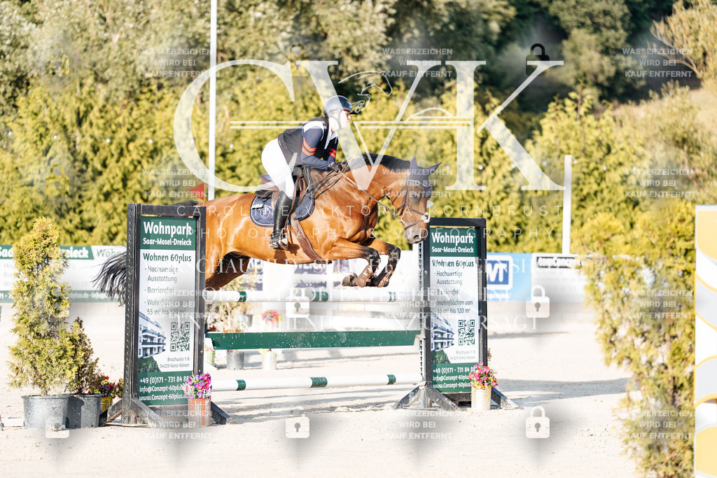 CK900666 | Turnierfotografie Pferdefotografie Trier Rheinland-Pfalz Pferdesport Reitsport Tierfotografie Sportfotografie Pferdevideo Pferdevideografie Equestrianvideography equestrianphotography  - Realisiert mit Pictrs.com