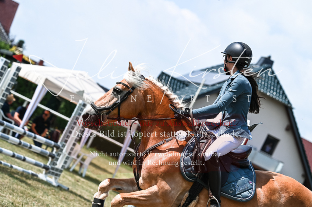 DSC_8791 | Pferde- und Turnierfotografie in Westsachsen. Pferdeportraits, Auftragszeichnungen und intuitive Kunst.