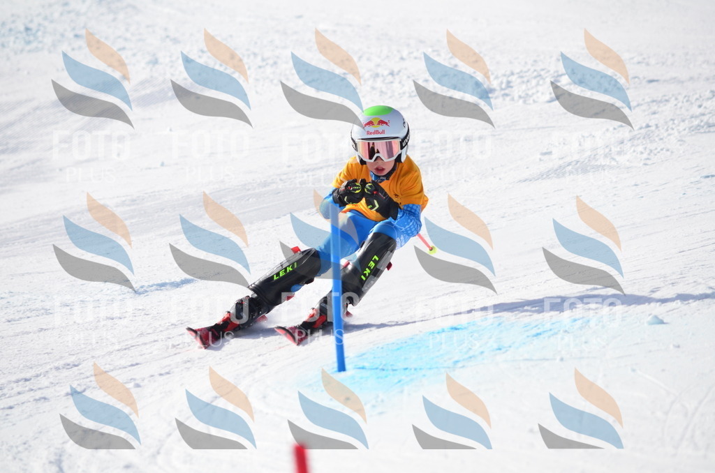 C6527 | holidayphoto