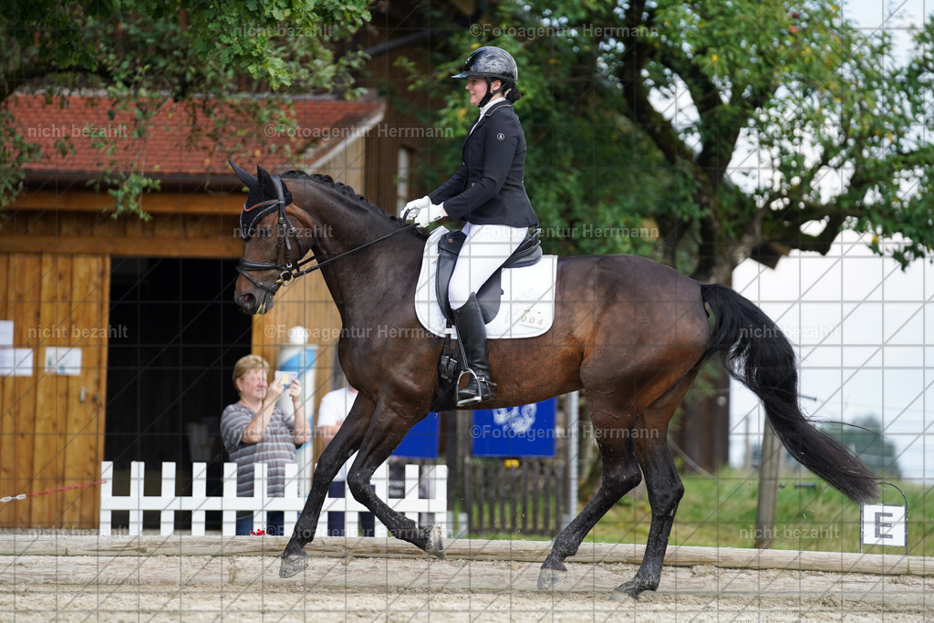 20230826-FAH05313 | Forstinning, 2023, Dressurturnier, Turniersportbilder, Turnierfotografen Bayern, Fotoagentur Herrmann, Reitsportfotografie, Turnierbilder