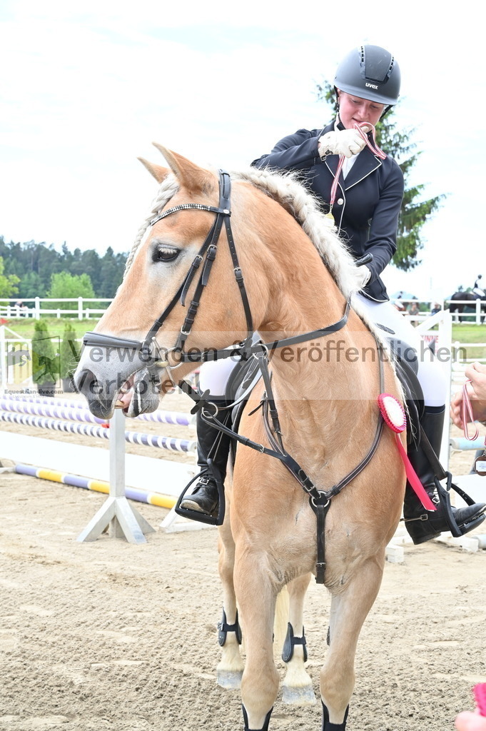 DSC_8403 | equestrian-live-com